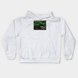 Mt Field National Park, Tasmania Kids Hoodie